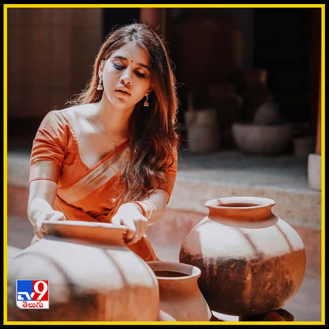Nabha Natesh New Photos. Credit by:Nabha Natesh/Instagram