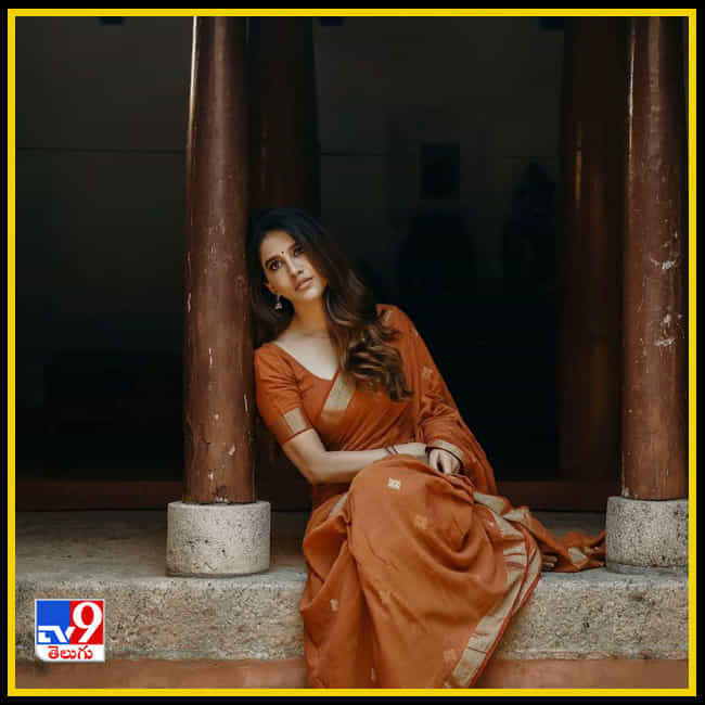 Nabha Natesh New Photos. Credit by:Nabha Natesh/Instagram