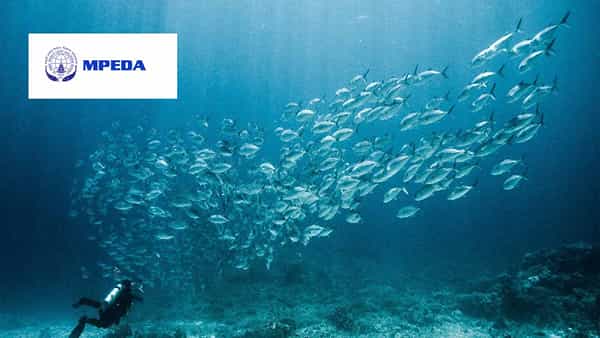 NaCSA Kakinada Recruitment 2022: కాకినాడలోనున్న నేషనల్ సెంటర్ ఫర్ సస్టైనబుల్ అక్వకల్చర్లో ఉద్యోగాలు.. అర్హతలివే!