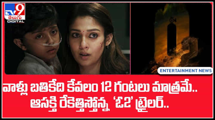 Nayanatara: వాళ్లు బతికేది కేవలం 12 గంటలు మాత్రమే.. ఆసక్తి రేకెత్తిస్తోన్న నయనతార విషయాలు.. Nayanatara: వాళ్లు బతికేది కేవలం 12 గంటలు మాత్రమే.. ఆసక్తి రేకెత్తిస్తోన్న నయనతార విషయాలు..