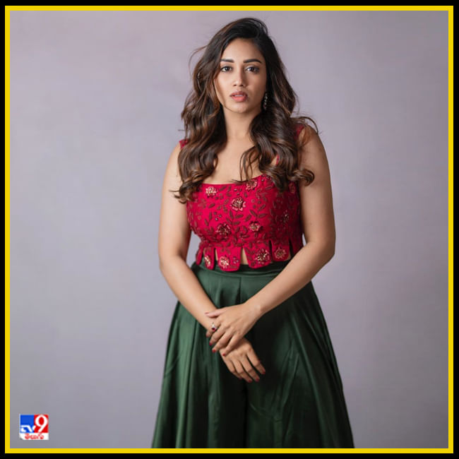 Nivetha Pethuraj New Photos. Credit by:Nivetha Pethuraj/Instagram