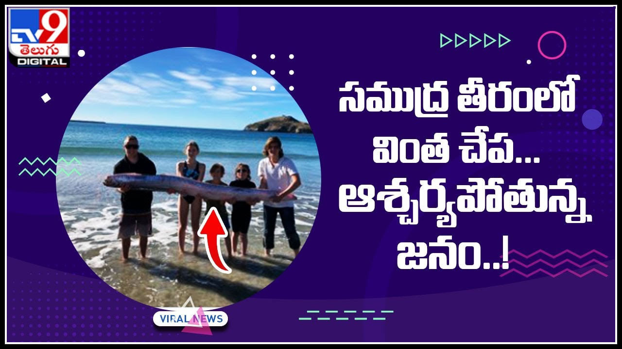 Oarfish: సముద్ర తీరంలో వింత చేప... ఆశ్చర్యపోతున్న జనం..! ఎన్ని అడుగులో తెలుస్తే షాక్ అవుతారు..