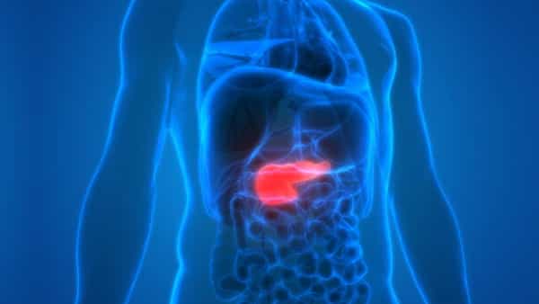Health Tips: ఈ లక్షణాలు మీలో కనిపిస్తున్నాయా.. వెంటనే జాగ్రత్త పడండి.. లేదంటే క్యాన్సర్ బారిన పడే ఛాన్స్..