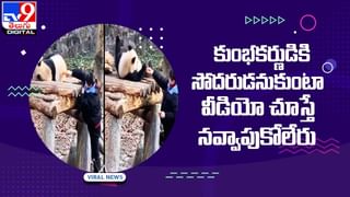 నడిరోడ్డుపై  అమ్మాయి ఆట విడుపు !!  ఏం చేసిందో చూడండి !!