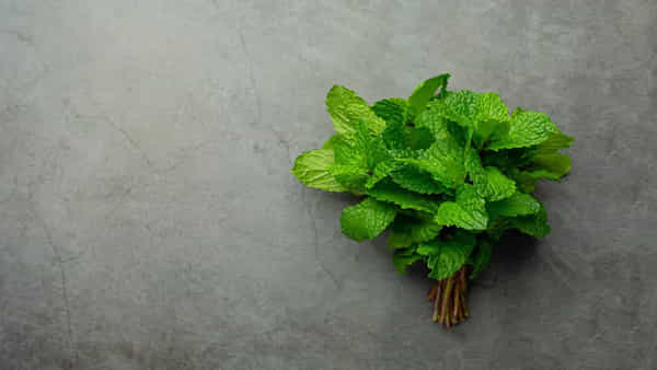 Peppermint: పుదీనా ఆరోగ్యానికే కాదు.. ఇంటి శుభ్రతలో కూడా బెస్ట్.. ఈ విషయాలు తెలిస్తే ఆశ్చర్యపోతారు..!
