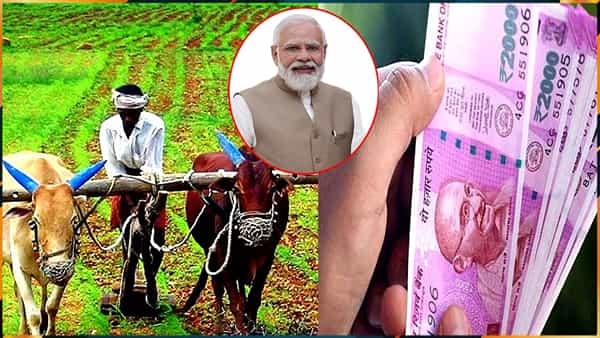 PM Kisan Yojana: పీఎం కిసాన్ నుంచి వీరి ఖాతాల్లో రూ. 2వేలు కాదు.. రూ.4 వేలు జమకానున్నాయి.. ఎలా చెక్ చేసుకోవాలో తెలుసా..