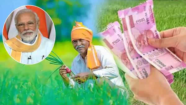 PM KISAN: పీఎం కిసాన్ 11వ విడత.. ఆ తేదీ నాటికి మీ ఖాతాలో డబ్బులు జమ అయ్యాయా.? లేదా తెలుసుకోండి ఇలా..