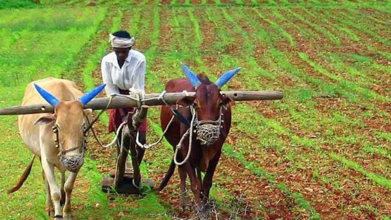 Alert for Farmers‌: రైతులకు అలర్ట్‌.. గడువు దగ్గర పడుతోంది మిత్రమా.. మే 31 చివరి తేదీ!