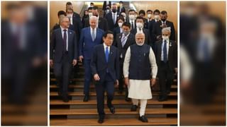 Seagull: ఆమె పిజ్జా తింటుంటే షాక్… పక్షులు ఇలా కూడా చేస్తాయా ? అక్కడివారికి చుక్కలు చూపిస్తున్నాయ్‌..