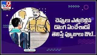 chimpanzees fighting: పొట్టు పొట్టు కొట్టుకున్న చింపాంజీలు.. బడా గూండాలు కూడా సరిపోరంటు.. వీడియో వైరల్