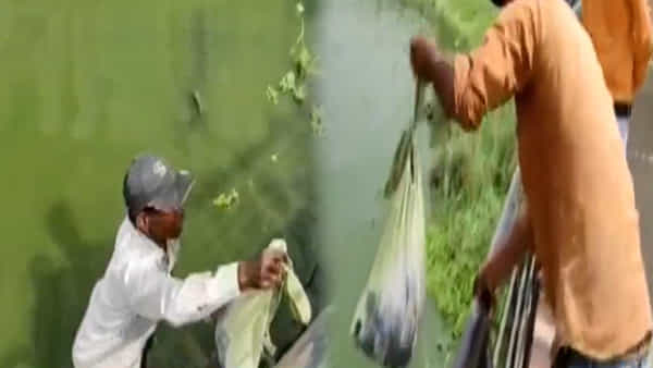 Viral: నదిలో తేలుతున్న బ్యాగు.. లోపల ఏముందని చెక్ చేయగా మైండ్ బ్లాంక్..