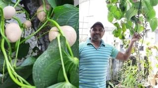 Summer Tips: మండుటెండల్లో బయటకు వెళ్తున్నారా..? ఈ 5 విషయాలను తప్పనిసరిగా గుర్తుంచుకోండి..