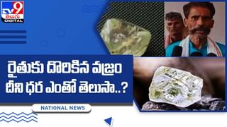 రైతుకు దొరికిన వజ్రం.. దీని ధర ఎంతో తెలుసా ??