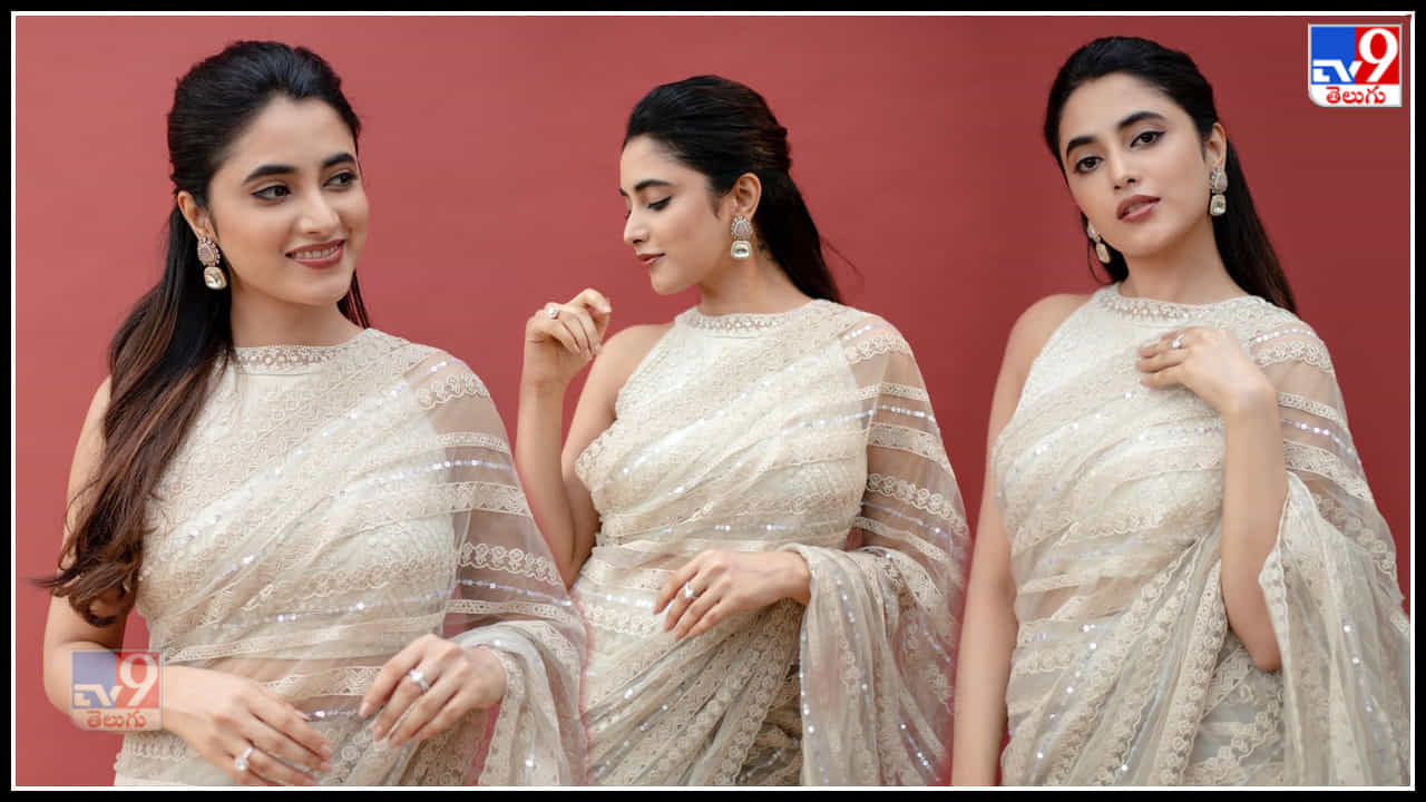 Priyanka Mohan:చూపుతిప్పుకోనివాని అందంతో మెరిసిపోతున్న ప్రియాంక  మోహన్‌...
