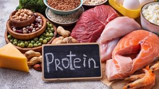 Protein Food: ఫుడ్‌ సైన్స్‌తో పోషకాహార భద్రత సాధ్యమవుతందా.? నిపుణులు ఏమంటున్నారంటే..
