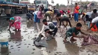 Viral Video: ఫైవ్‌స్టార్‌ హోటల్‌లో పనిచేస్తున్న కుక్క..! పెద్ద జీతంతో పాటుగా..వైరల్‌ వీడియో