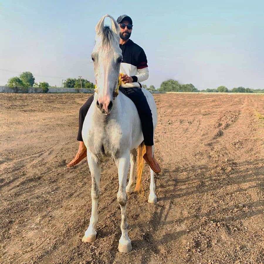 జడేజా ఖాళీ సమయంలో ఎక్కువగా తన ఇంట్లోనే గడుపుతాడు. తన ఫామ్హౌస్లో గుర్రపు స్వారీ చేస్తూ సమయాన్ని గడుపుతుంటాడు. ఫెన్సింగ్ అతనికి ఇష్టమైన హాబీ.