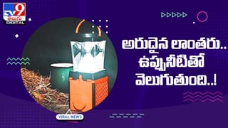 Rare Kangaroo: మహిళను కంగారు పెట్టిస్తున్న “తెల్ల కంగారూ”