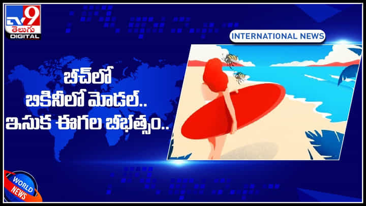 పుట్టిన రోజు నాడే మోడల్ చెల్సీ గోల్డ్కి చేదు అనుభవం.. ఆగలేని ఇసుక ఈగలు బీభత్సం.. పుట్టిన రోజు నాడే మోడల్ చెల్సీ గోల్డ్కి చేదు అనుభవం.. ఆగలేని ఇసుక ఈగలు బీభత్సం..