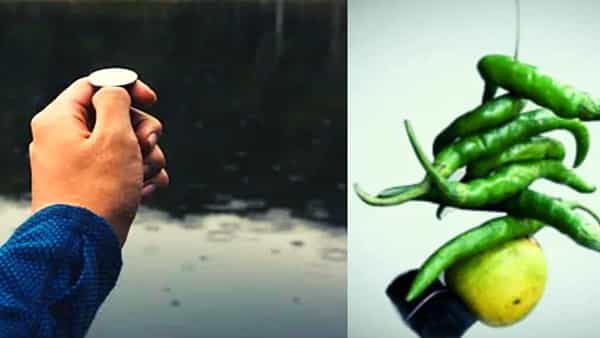 Scientific Facts: నదిలో నాణెం వేయడం.. గుమ్మానికి నిమ్మకాయ కట్టడం.. శాస్త్రీయ కోణం ఏంటో తెలుసా..?