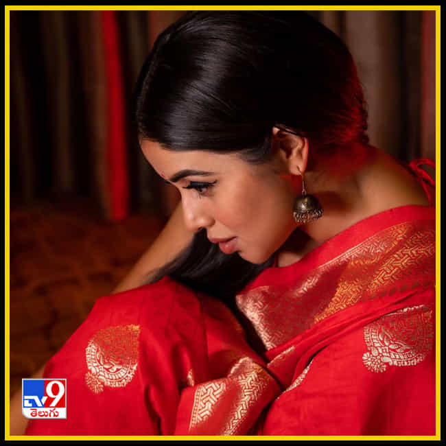 Shamna Kasim New Photos. Credit by:Shamna Kasim/Instagram 