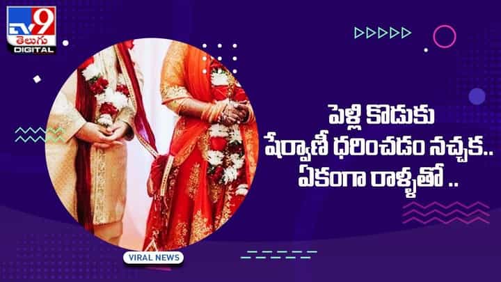 పెళ్లి కొడుకు షేర్వాణీ ధరించడం నచ్చక.. ఏకంగా రాళ్ళతో !! పెళ్లి కొడుకు షేర్వాణీ ధరించడం నచ్చక.. ఏకంగా రాళ్ళతో !!