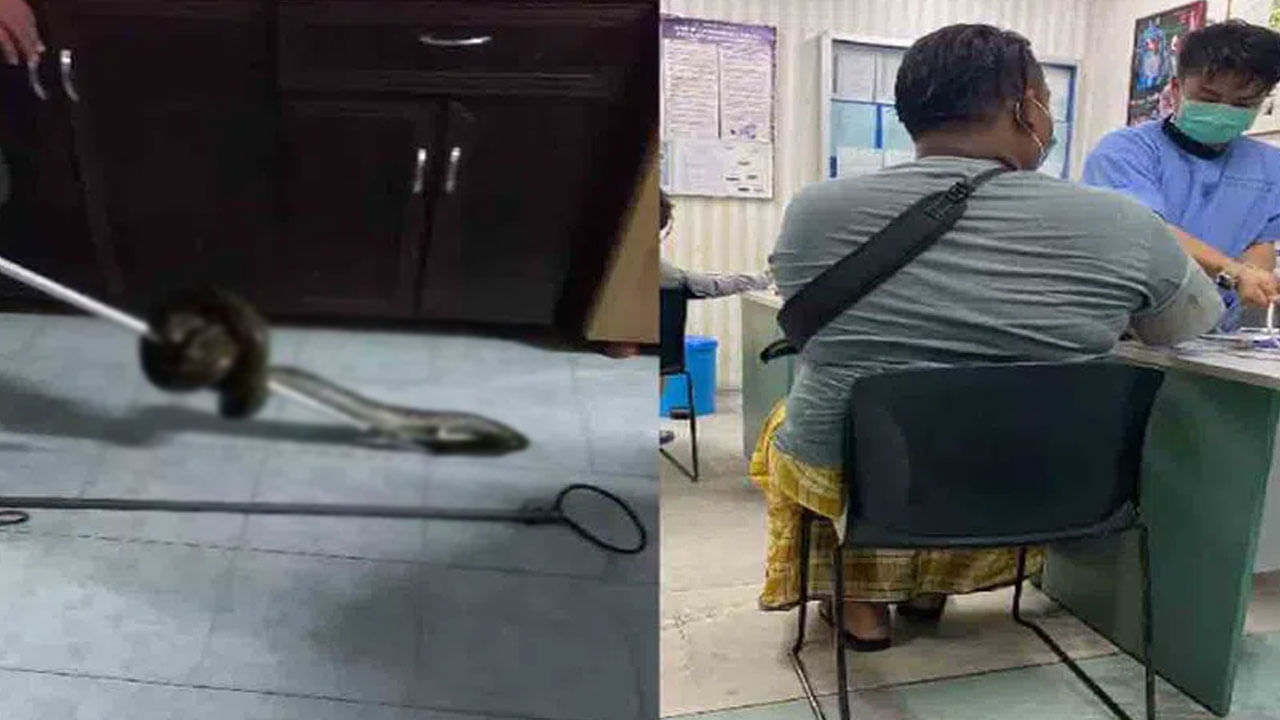 Viral: టాయిలెట్లో కూర్చుని వీడియో గేమ్.. అదే సమయంలో వింత శబ్దాలతో షాకింగ్ సీన్.. చివరకు..