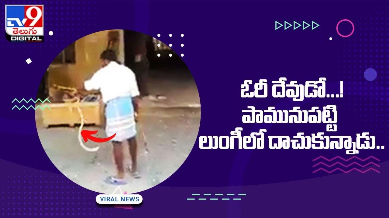 Viral Video: ఓరీ దేవుడో...! పామునుపట్టి లుంగీలో దాచుకున్నాడు