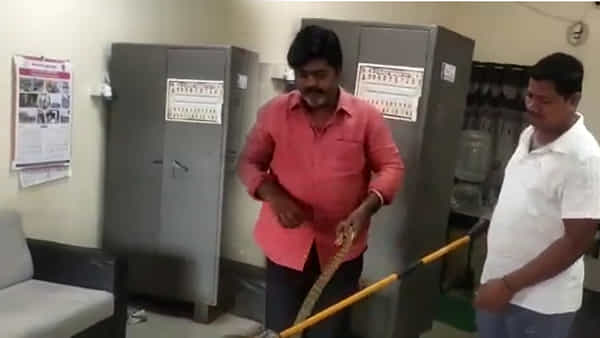 Viral Video: కలెక్టరేట్లో ఒక్కసారిగా గందరగోళం.. ఏం జరిగిందని చూడగా షాకింగ్ సీన్!