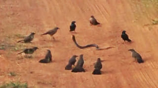 విద్యార్థుల‌ను ఇనుప గొలుసుల‌తో క‌ట్టి తాళం వేసిన ఉపాధ్యాయుడు, ఆ తర్వాత..