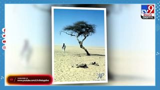 మెరుపు వేగంతో దూసుకొచ్చిన పక్షి.. నెక్ట్స్‌ సీన్‌ చూస్తే షాక్‌