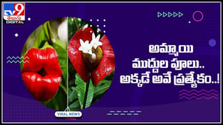 Viral Video: ఆత్మకి హాయ్ చెప్పిన పసికందు?.. ఎవరో అర్ధం కానీ తండ్రికి ఆశ్చర్యం..