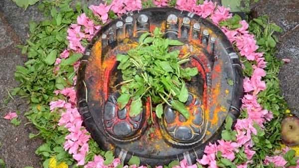 Tirumala: నారాయణుడు నడయాడిన గిరి.. ఆధ్యాత్మిక సిరి.. శ్రీవారి పాద ముద్రల నారాయణ గిరి.. తిరుమలలో దర్శించాల్సిన ప్రాంతమిది!