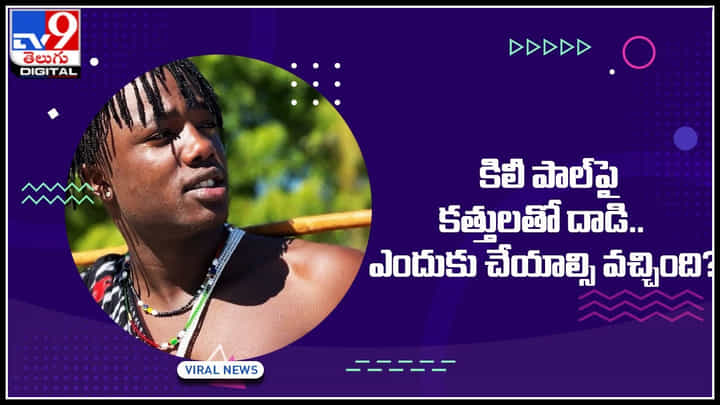 Viral Video: ఇన్స్టాగ్రామర్ పై కత్తులతో దాడి.. కట్ చేస్తే.. ఎందుకు చేయాల్సి వచ్చింది.? Viral Video: ఇన్స్టాగ్రామర్ పై కత్తులతో దాడి.. కట్ చేస్తే.. ఎందుకు చేయాల్సి వచ్చింది.?