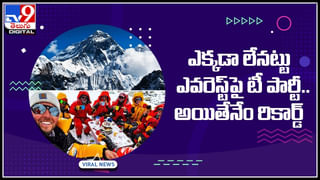 పుట్టిన రోజు నాడే మోడల్‌ చెల్సీ గోల్డ్‌కి చేదు అనుభవం.. ఆగలేని ఇసుక ఈగలు బీభత్సం..