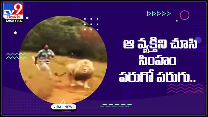Lion Running: వ్యక్తిని చూసి సింహం పరుగో పరుగు నెట్టింట వైరల్ అవుతున్న షాకింగ్ వీడియో Lion Running: వ్యక్తిని చూసి సింహం పరుగో పరుగు నెట్టింట వైరల్ అవుతున్న షాకింగ్ వీడియో