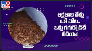 Teacher: బట్టబయలు అయినా రిటైర్డ్ ఉపాధ్యాయుడి రాసలీలలు.. 30 ఏళ్ల సర్వీసులో 60 మంది విద్యార్థినులపై..