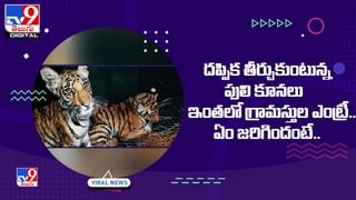 అత్త, ఆడబిడ్డలను ఈడ్చి ఈడ్చి కొట్టిన కోడలు.. ఏం జరిగిందంటే ??