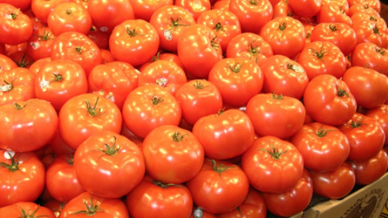 Tomato Prices: మళ్ళీ పెరిగిన టమోటా ధర.. లబోదిబోమంటున్న జనం..