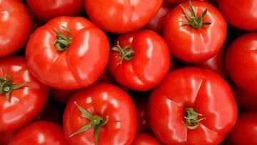 Tomato Low Price: అక్కడ 15 రూపాయలు తక్కువకే టమాటా.. పూర్తి వివరాలు మీకోసం..