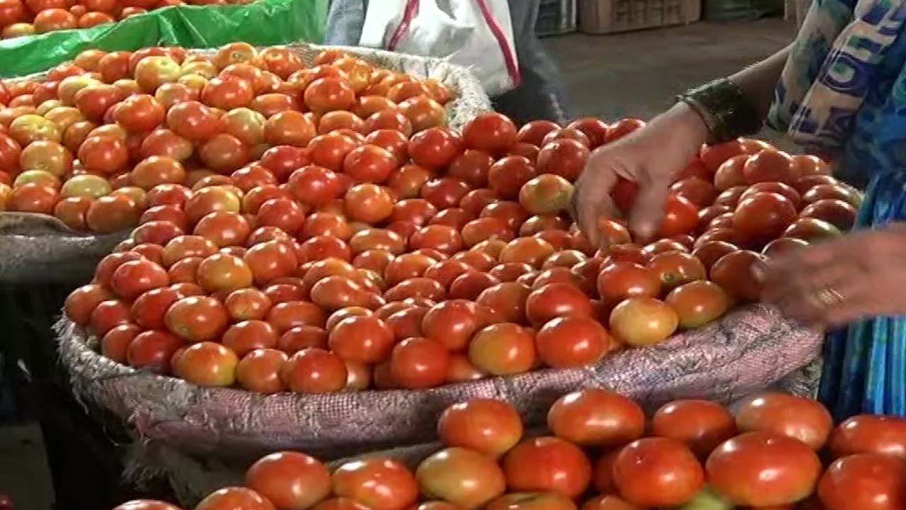 Tomato Price: మళ్ళీ టమాటా ధరకు రెక్కలు.. సామాన్యులకు చుక్కలు చూపిస్తున్న కూరగాయల ధరలు
