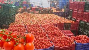 Tomato Prices: మండిపోతున్న టమాట ధర.. లబోదిబోమంటున్న ప్రజలు