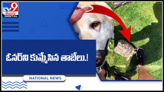 Horse Kissing boy: చిన్నారిపై ప్రేమతో గుర్రం చేసిన పని.. చూస్తే పడిపోతారు అంతే..!