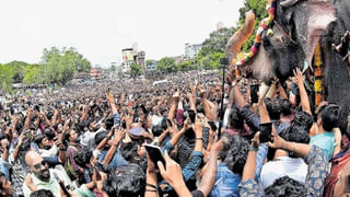 Viral Video: రెప్పపాటులో పెంపుడు కుక్క ప్రాణాలను కాపాడిన సూపర్ ఉమెన్.. వీడియో చూస్తే వావ్ అనాల్సిందే..