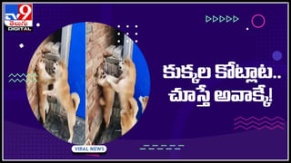 Viral Video: పెళ్లి మండపంలోకి పోలీసుల ఎంట్రీ.. పారిపోయిన వధూవరులు..! ఎందుకో తెలిస్తే షాక్ అవుతారు..