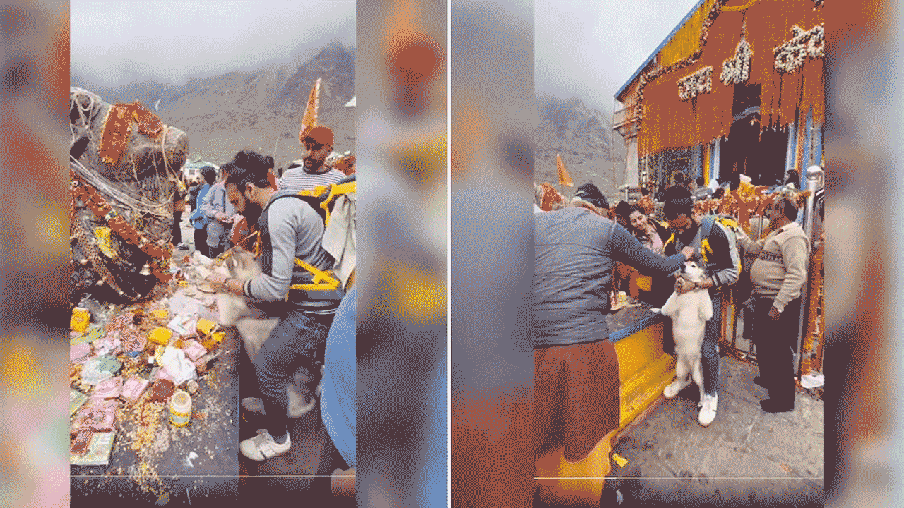 Uttarakhand:కేదార్‌నాథ్ ఆలయంలో షాకింగ్ సీన్‌, పెంపుడు కుక్కతో వచ్చిన భక్తుడు..అంతటితో ఆగలేదు..! వీడియో వైరల్‌