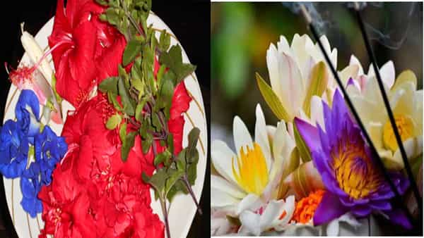 Vastu Tips: ఇంట్లో శాంతి నెలకొనాలంటే.. ఏఏ పువ్వుల మొక్కలను వాస్తు ప్రకారం ఏ దిశలో ఏర్పరచుకోవాలంటే..