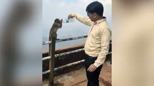 Viral Video: మానవత్వం అంటే ఇదే.. కోతి దాహం తీర్చిన యువకుడు.. హ్యాట్సాఫ్ అంటున్న నెటిజన్లు
