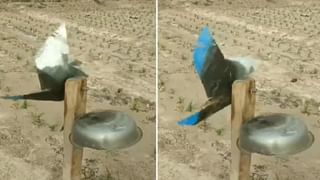 Viral Video: బరాత్‌లో బాంబులు పేల్చారు.. సీన్ కట్ చేస్తే.. వరుడికి సీన్ సితారా అయింది.. వీడియో