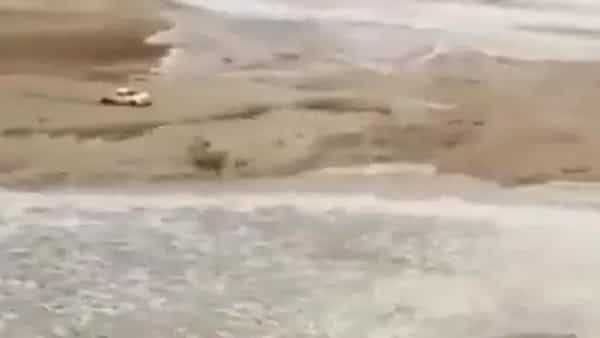 Viral Video: లక్ అంటే వీడిదే గురూ..! డ్రైవర్ ధైర్యానికి ఫిదా అవుతున్న నెటిజనం.. షాకింగ్ వీడియో
